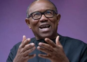 Declare Obi winner, don’t waste Nigeria’s resources, Group tells court