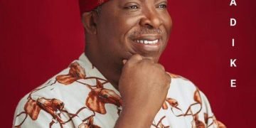 VICTOR UMEH: AN ASTUTE LEGISLATOR AT 61