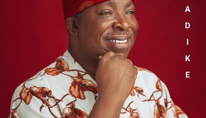 VICTOR UMEH: AN ASTUTE LEGISLATOR AT 61