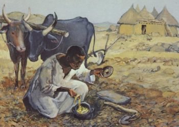 Homily, 17th Sunday in Ordinary Time, Year A.