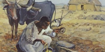 Homily, 17th Sunday in Ordinary Time, Year A.