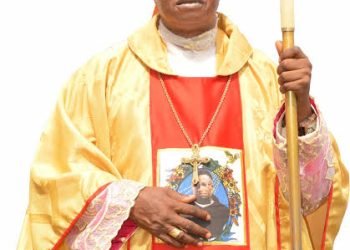 Bishop Ezeokafor Flays Tinubu over N800B Palliative