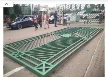 Angry protesters pull down NASS gate