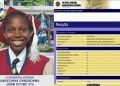 Anambra Student Achieves Remarkable WASSCE Success with Nine A1s