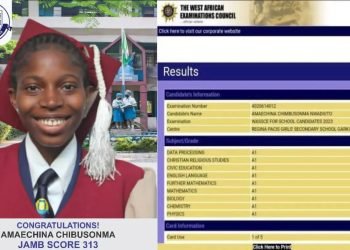 Anambra Student Achieves Remarkable WASSCE Success with Nine A1s