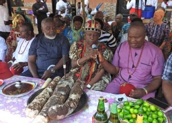 Accolades as Fr Philip  Okoye harvests biggest yams in Anambra, feeds Akpo community and others