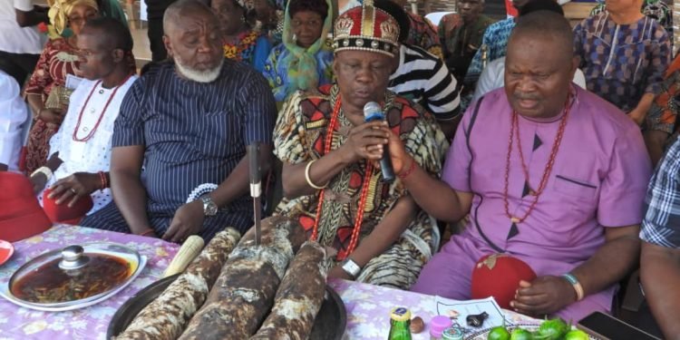 Accolades as Fr Philip  Okoye harvests biggest yams in Anambra, feeds Akpo community and others