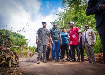 Soludo appeals for FGs intervention on Nnobi-Ideani-gully erosion