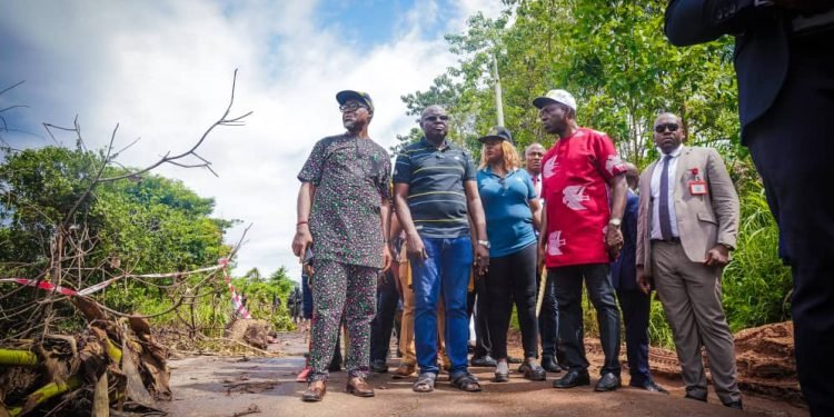 Soludo appeals for FGs intervention on Nnobi-Ideani-gully erosion