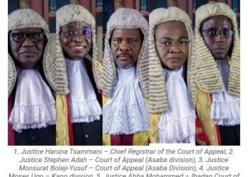 The puzzled search for the real Tinubu