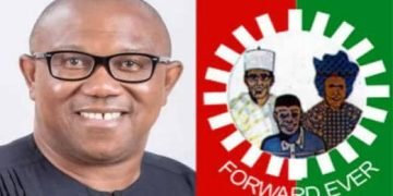 Yoruba Socio-cultural group,Afenifere backs Obi on appeal to Supreme Court