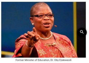 Ezekwesili knocks Supreme Court over Judgement,says,”Now we know true definition of criminal enterprise gang “
