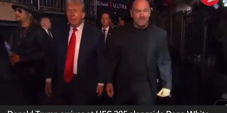 UFC president Dana White issues two-word response to sponsor over Donald Trump request