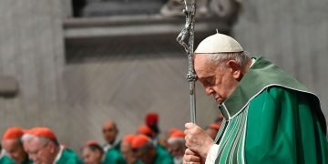 Fr. Faltas Praises Pope Francis as the Sole Leader to Advocate for a Holy Land Ceasefire