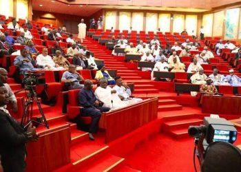 Senate to Investigate Controversial N5 Billion Presidential Yacht Acquisition