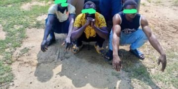 Anambra NSCDC Vows to Prosecute Suspected Oil Thieves