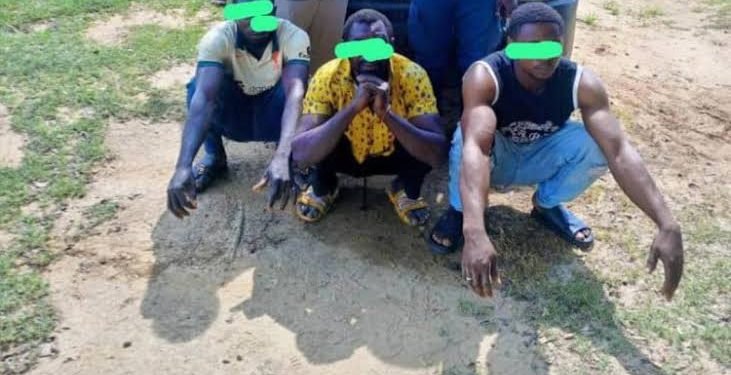 Anambra NSCDC Vows to Prosecute Suspected Oil Thieves