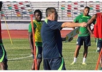 Minister, NFF, Peseiro plot Eagles’ path to victory at AFCON