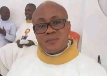 Pope Francis Appoints Auxiliary Bishop for Orlu Diocese