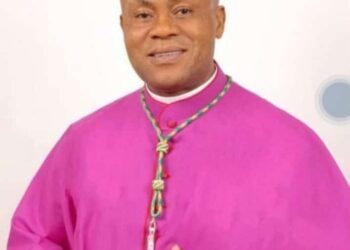Pope Francis appoints Thomas Obiatuegwu as auxiliary Bishop of Orlu