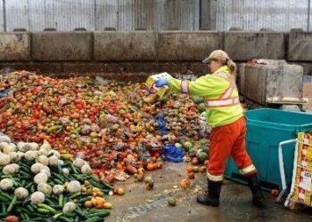 Pope Francis Addresses IFAD: Urges Action to Combat Hunger and Food Waste