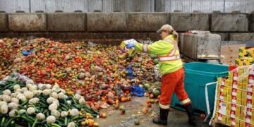 Pope Francis Addresses IFAD: Urges Action to Combat Hunger and Food Waste