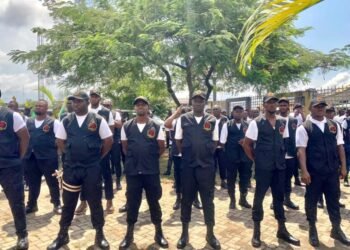 Anambra Assembly Summons Officials Over Alleged Killing By Anti-Tout Squad