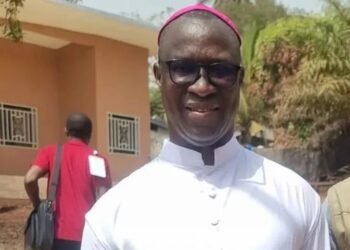 Pope Francis Creates New Diocese in Guinea, Appoints Bishop