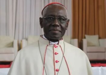 Cardinal Sarah Urges Unity Among Christians, Cautions Against Disunity