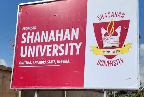 5 Irresistible Reasons to Choose Shanahan University for Your Child’s Future