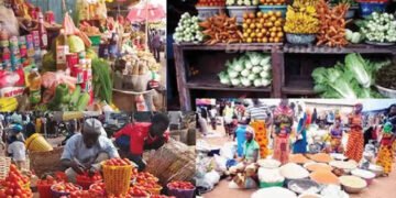 Food Crisis in Nigeria: CMO Helmsman Urges Mass Return to Farming