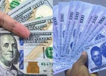 Naira May Experience Further 35% Depreciation in 2024 – IMF
