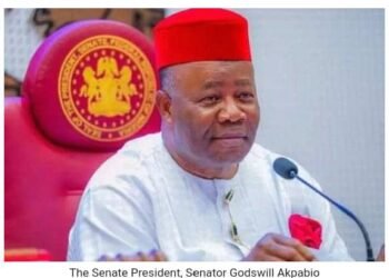 Ohanaeze youths laud NASS over passage of South-East Development Commission…seeks president’s assent