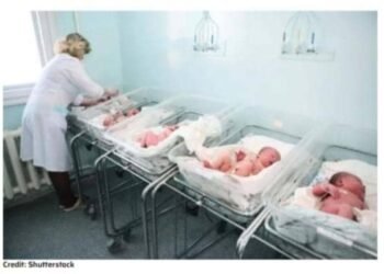 More human embryos destroyed through IVF than abortion every year