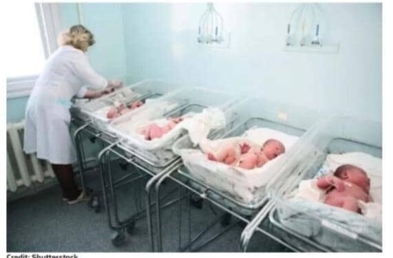 More human embryos destroyed through IVF than abortion every year