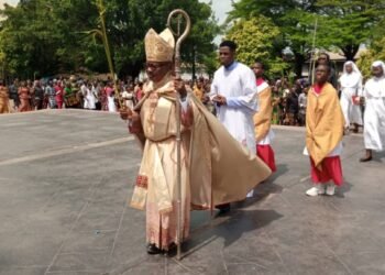 Palm Sunday:”God can bless you through suffering”-Archbishop Okeke
