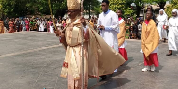Palm Sunday:”God can bless you through suffering”-Archbishop Okeke