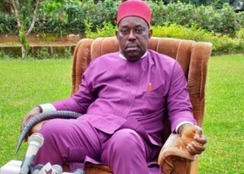 Restoration Of Public Water Supply Best Democracy Dividends, Palliatives —- Says Ohaneze Ndigbo VP