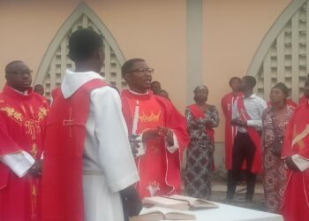 Unite your sufferings with the Passion of Christ; reclaim your victory – Fr Agbo