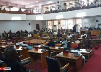 Why We Forfeited our Salaries – Anambra LP Lawmaker