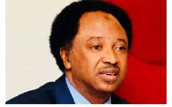 Workers’ Day: Nigerians experiencing hardship under Tinubu — Shehu Sani