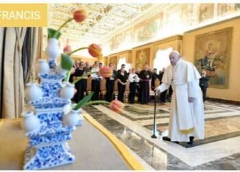 Amsterdam turns 750: celebrating with the Pope and naming tulip after encyclical Fratelli Tutti