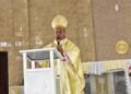 Peter Cardinal Okpaleke Celebrates 11th Anniversary of Episcopal Consecration