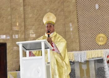 Peter Cardinal Okpaleke Celebrates 11th Anniversary of Episcopal Consecration
