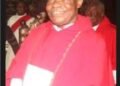 Archdiocese of Onitsha expresses gratitude for prayerful solidarity on release of abducted Rev Fr Basil Gbuzue