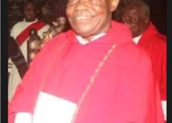 Archdiocese of Onitsha expresses gratitude for prayerful solidarity on release of abducted Rev Fr Basil Gbuzue