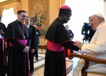 Pope to Mission Societies: “Be creative and tenacious”