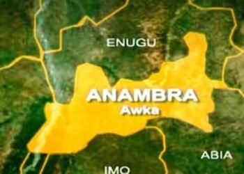 Indigenes of Nnobi Community Abandon Homes over Pollution from Rice Mill