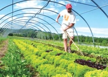 Adopt Organic Farming, Agric Commissioner Urges Farmers