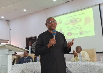 Peter Obi Commends Lord Zeus for Exposing Second Niger Bridge Vandalism, Urges Security Crackdown